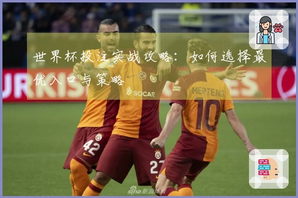 世界杯投注实战攻略：如何选择最优入口与策略