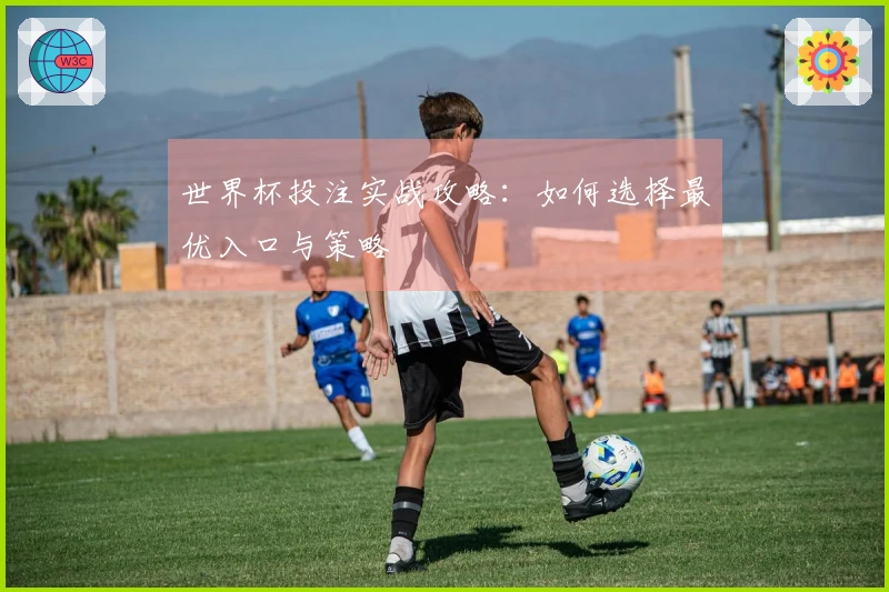 世界杯投注实战攻略:如何选择最优入口与策略