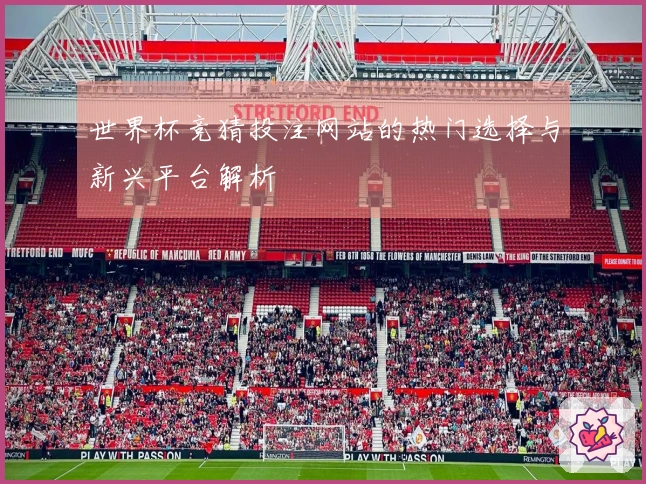 世界杯竞猜投注网站的热门选择与新兴平台解析
