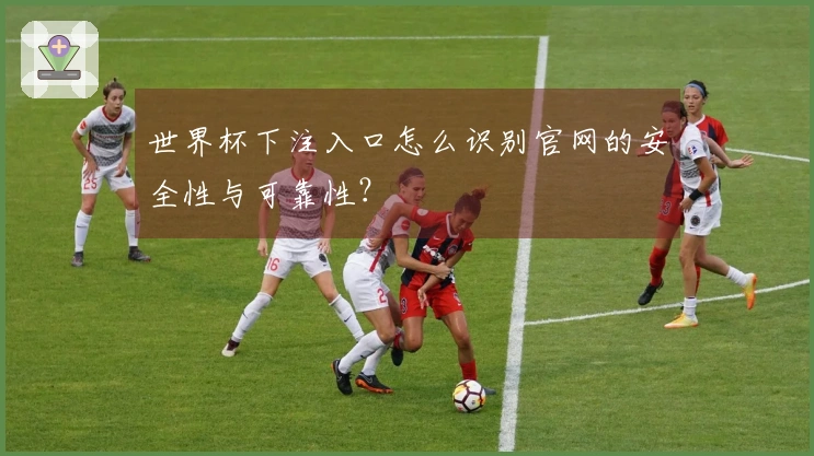 世界杯下注入口怎么识别官网的安全性与可靠性？
